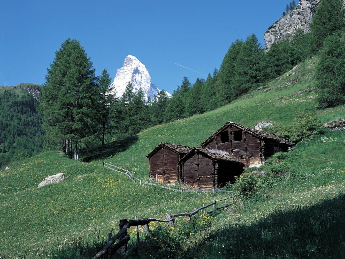 Apartment Sungold-1 By Interhome Zermatt Exterior foto